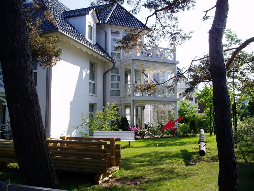 Strandläufer im Haus Strelasund Ostseebad Ostseebad Binz Exterior foto